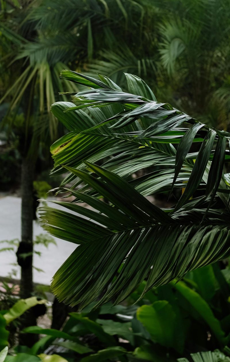 viaje a áfrica naturaleza