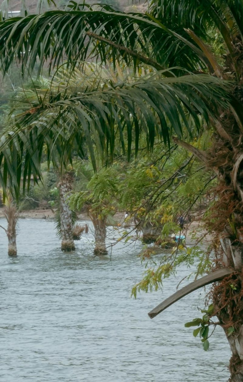 naturaleza viaje africa